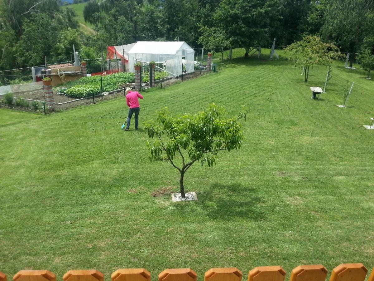 Sostanj Velenje Ravne Sobe Rooms Vrtacnik D O O Exterior foto